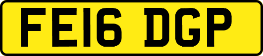 FE16DGP