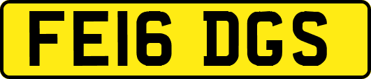 FE16DGS