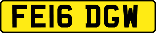 FE16DGW