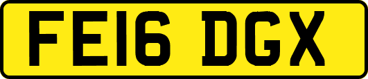 FE16DGX