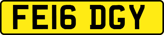 FE16DGY