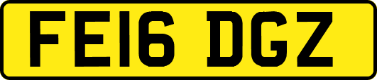 FE16DGZ