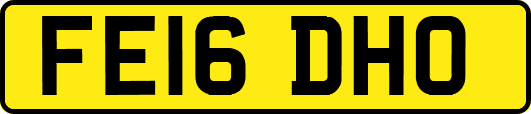 FE16DHO