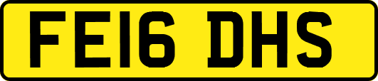 FE16DHS