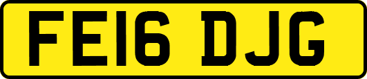 FE16DJG