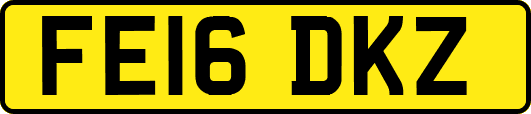 FE16DKZ