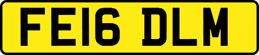 FE16DLM