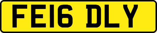 FE16DLY