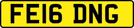 FE16DNG