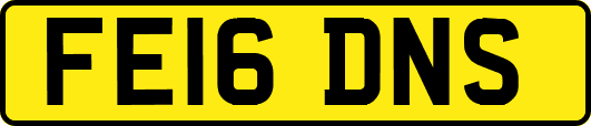 FE16DNS