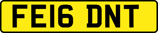 FE16DNT