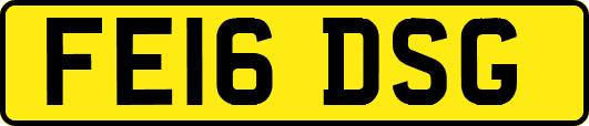 FE16DSG