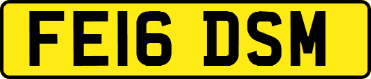 FE16DSM