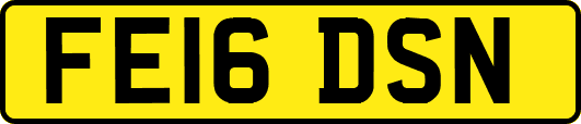 FE16DSN