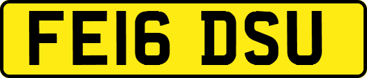 FE16DSU