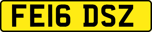 FE16DSZ