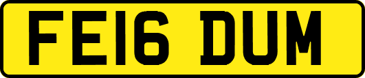 FE16DUM