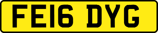 FE16DYG