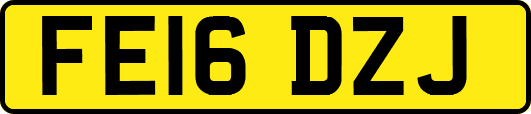 FE16DZJ