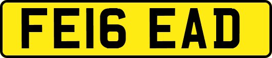 FE16EAD