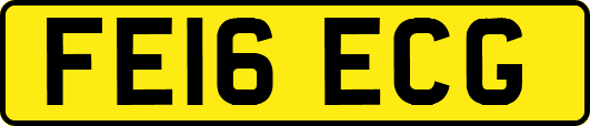 FE16ECG