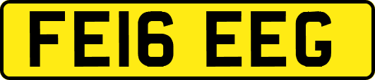 FE16EEG