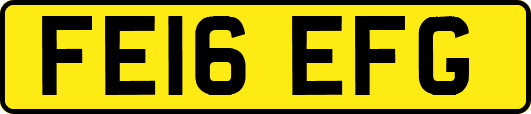 FE16EFG