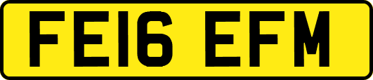 FE16EFM