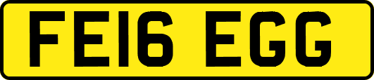FE16EGG