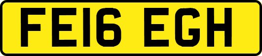FE16EGH