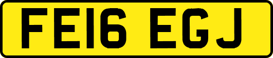 FE16EGJ