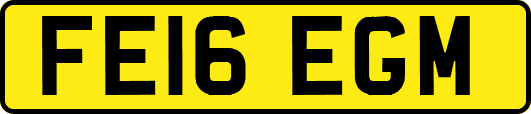 FE16EGM