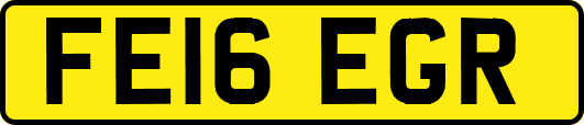 FE16EGR