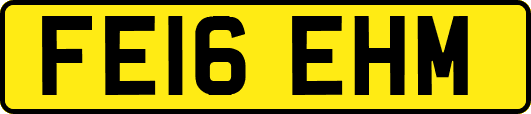 FE16EHM