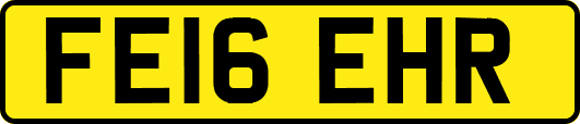 FE16EHR