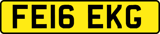 FE16EKG