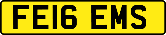 FE16EMS