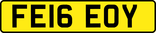 FE16EOY
