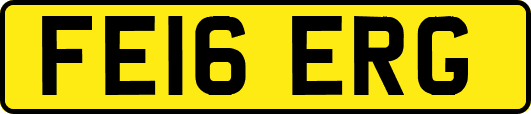 FE16ERG