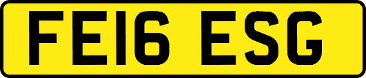 FE16ESG