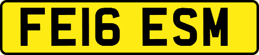 FE16ESM
