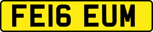 FE16EUM