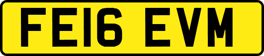 FE16EVM