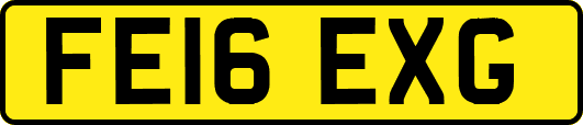 FE16EXG