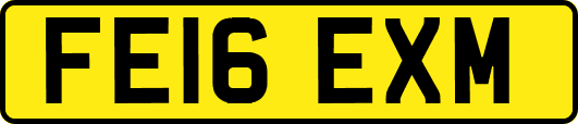 FE16EXM