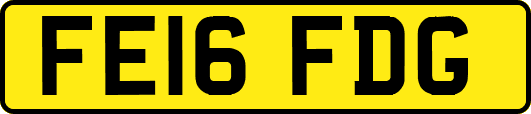 FE16FDG