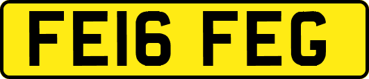 FE16FEG