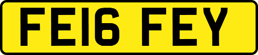 FE16FEY