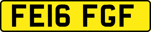 FE16FGF