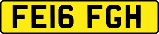 FE16FGH